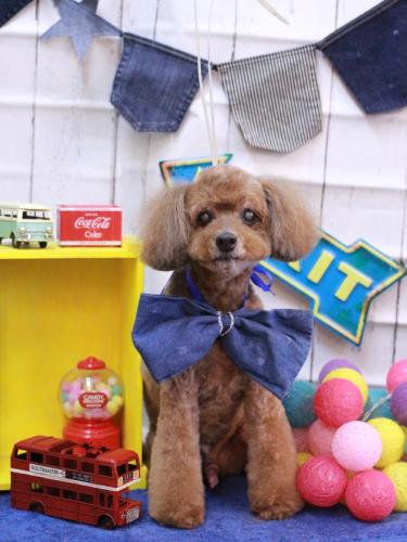 20230416颯太くん